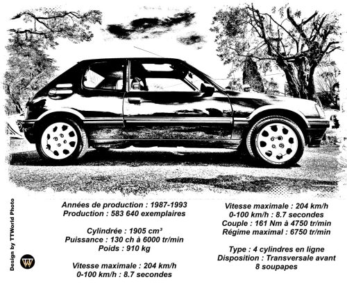 Peugeot-205-GTI-final-noir-Dessin